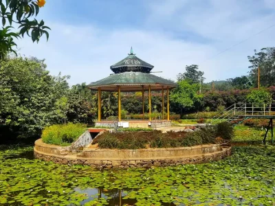 hydel-park-pond
